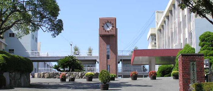 大学案内