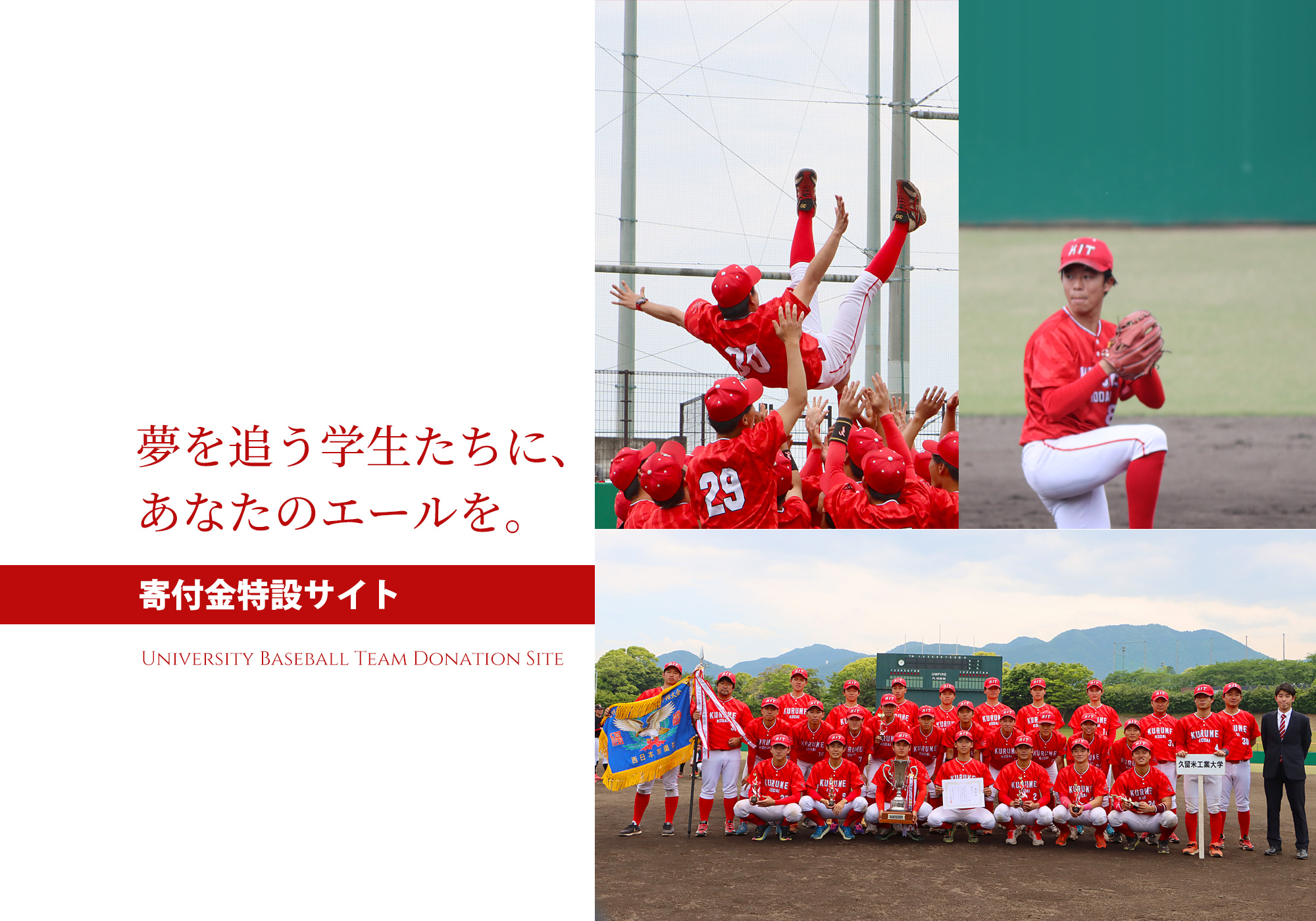 野球部 寄付金特設サイト