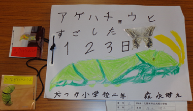 小学特別賞.png