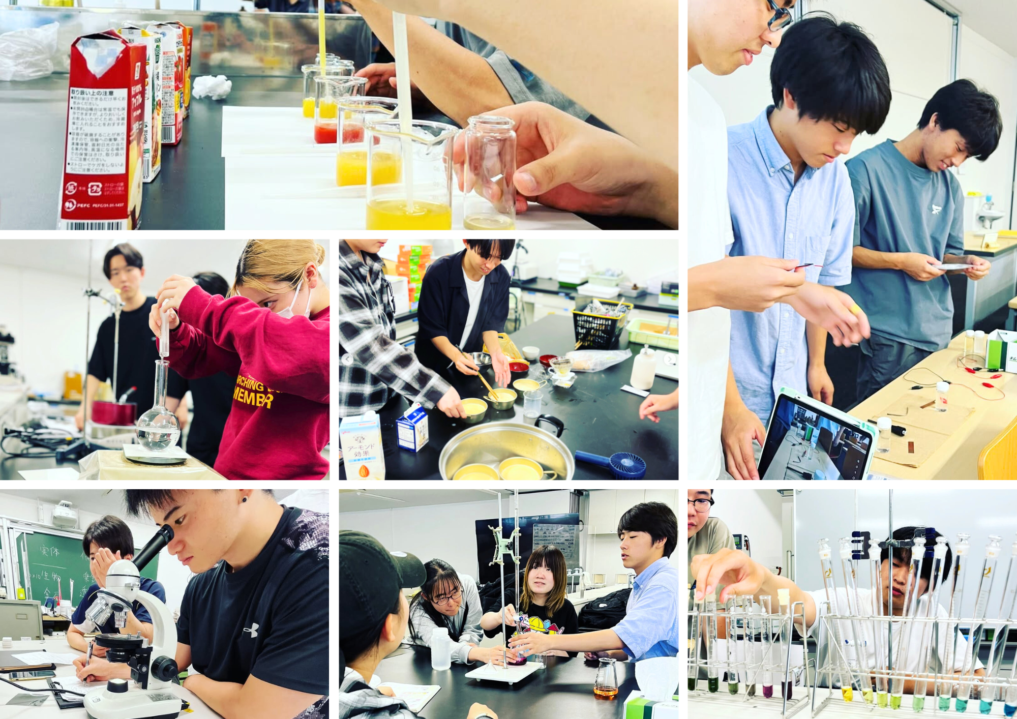 久留米工業大学教育創造工学科.png