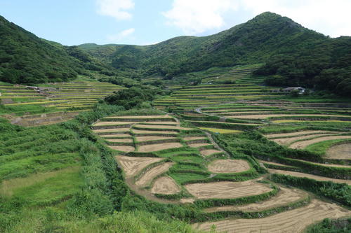 平戸市春日の棚田.JPG